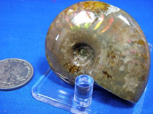 AMMONITE WITH RED MOTHER OF PEARL-18